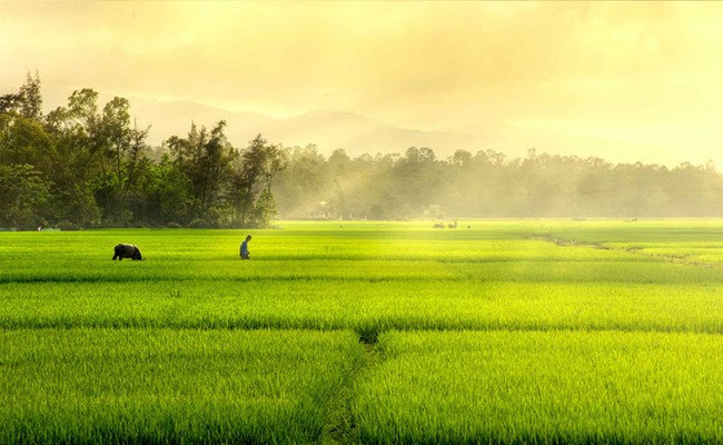 Lặng