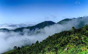 Xuân về trên cao nguyên Mạ BLao