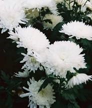 Nghĩ về người đã khuất