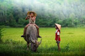 Một đời ngắn ngủi