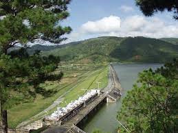 Gửi rừng Bidoup